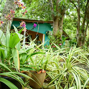 Palitha Accommodatie bij particulieren Sigiriya